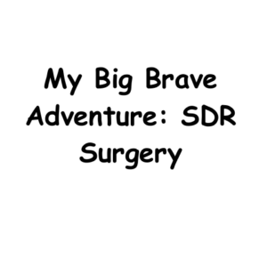 SDR Social Story